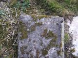 image of grave number 195969